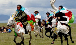 Horse Racing Festival