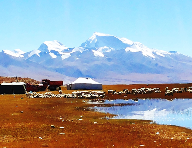 Lake Manasarovar Camp