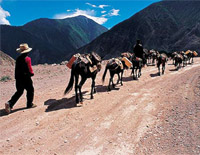 Kangding: the most important market of Tea-horse trade in the past