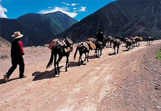 Kangding: the most important market of Tea-horse trade in the past