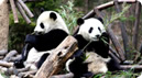 Chengdu Tibet