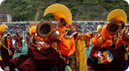 Culture & Festival 