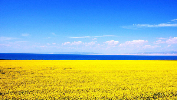 Qinghai Lake Getting Larger for 7 Years