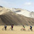 Tibet Cycling tours