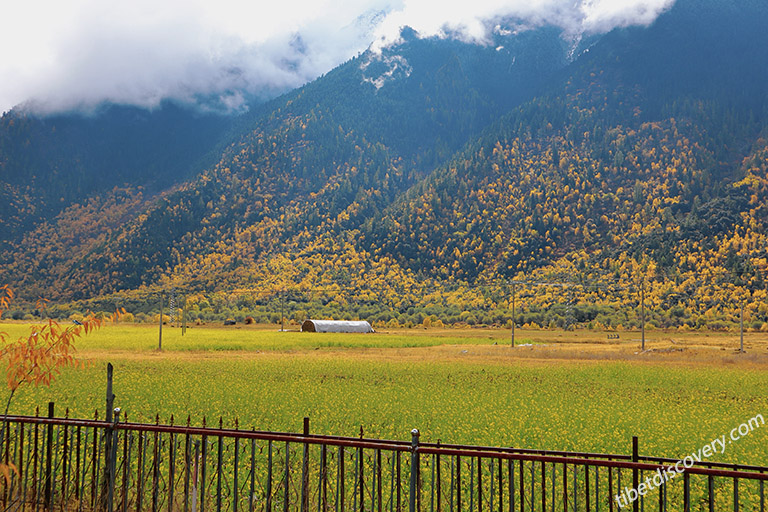 Nyingchi to Basum-tso