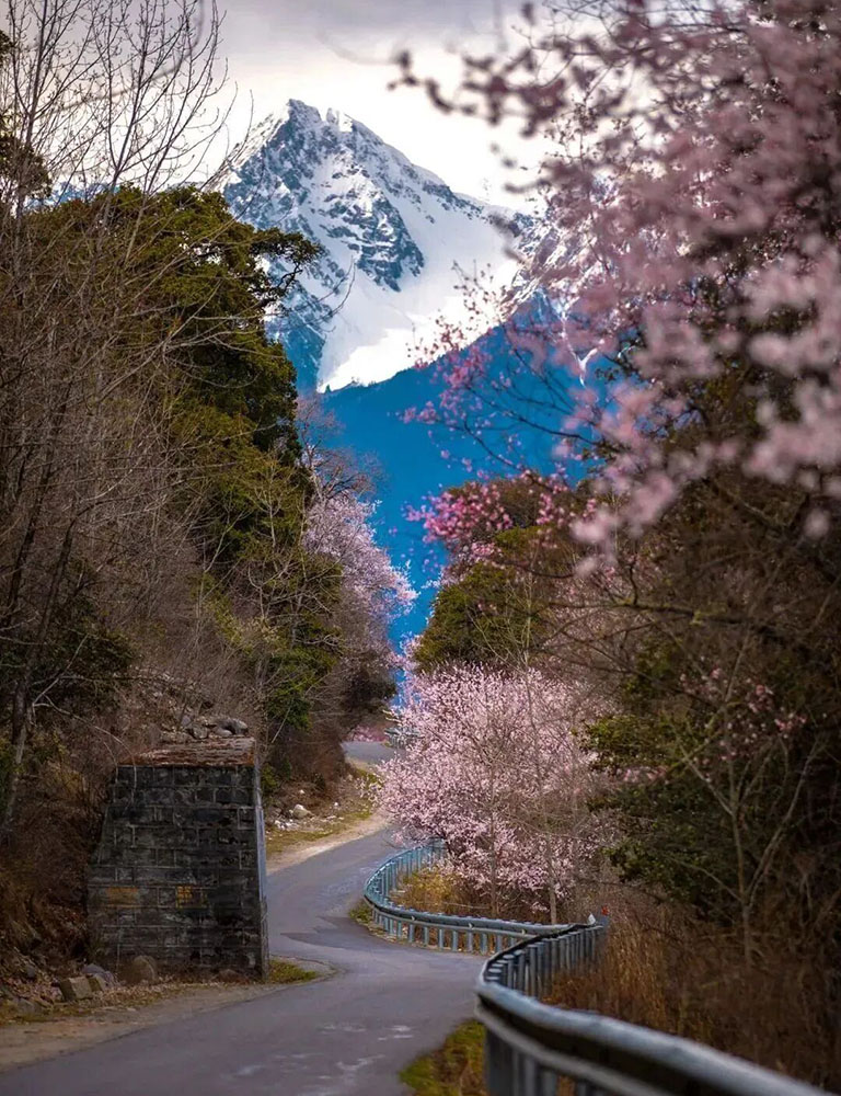 Bomi Peach Blossom Valley
