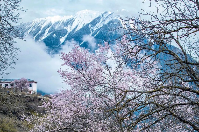 Gutong Village in Bomi Peach Blossom Valley