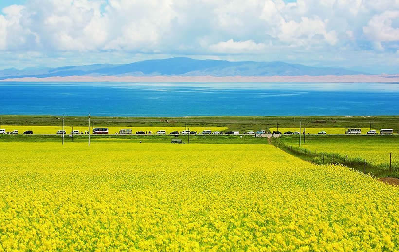 Qinghai Lake