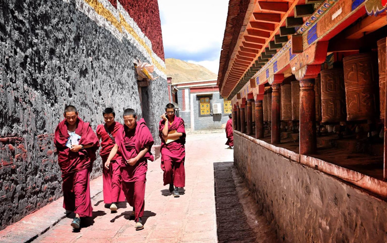 Young Monks in Sakya Monastery