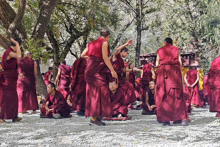 Buddhist Buildings of Sera Monastery