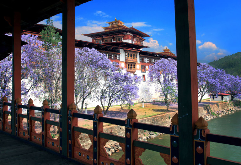 Punakha Dzong - Most Beautiful Dzong in Bhutan
