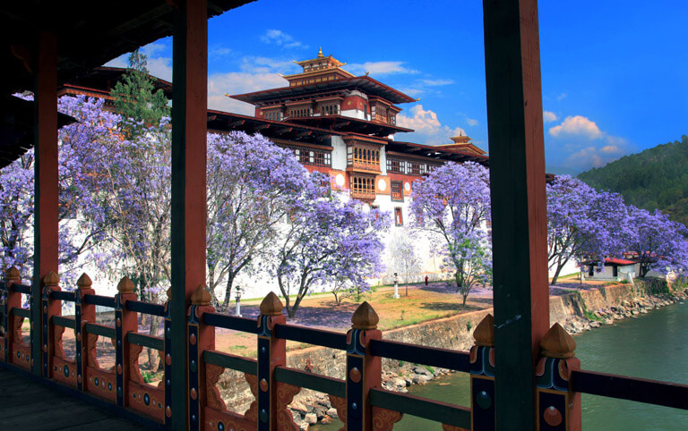Punakha Dzong - Most Beautiful Dzong in Bhutan