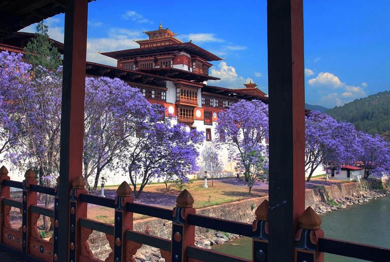 Beautiful Punakha Dzong in Spring Bhutan Daily Fee