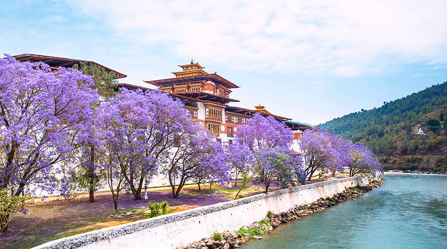 Image result for bhutan