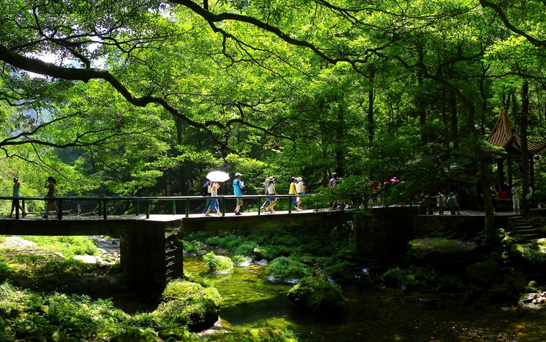 Zhangjiajie National Park