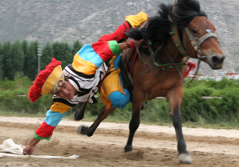 Horse Racing Festival