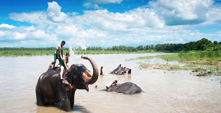 Spending a happy time with the elephants in Chitwan National Park.