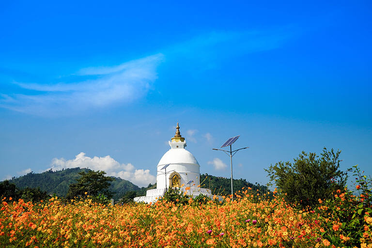 World Peace Pagoda Among the Wildflowers Pokhara Things to Do 2020