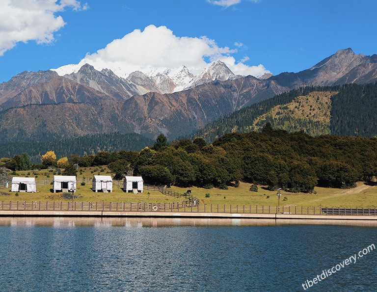 Lulang Town & Alpine Pastures