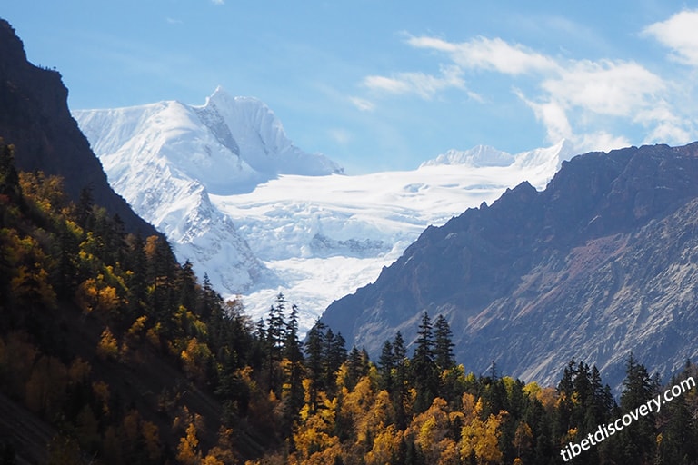 Midui Glacier in Nyingchi Midui Glacier in Nyingchi