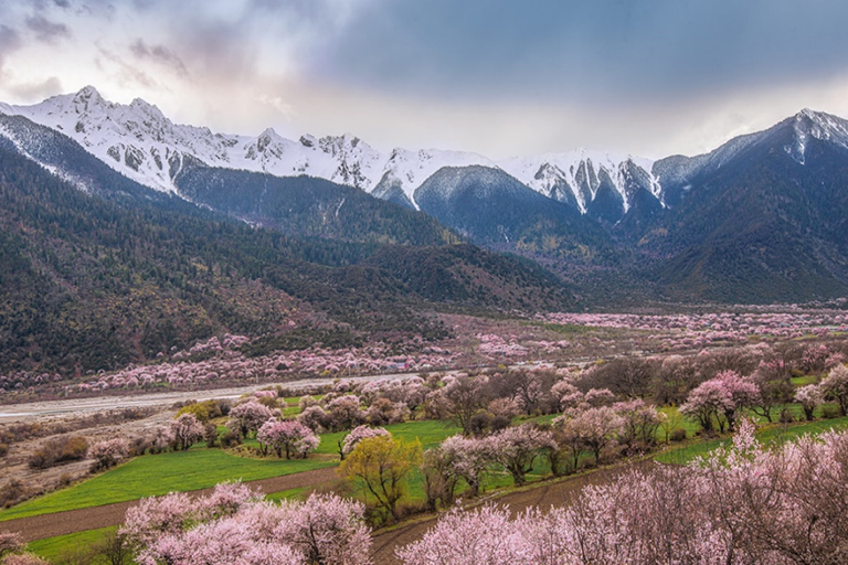 Bomi Peach Blossom Valley