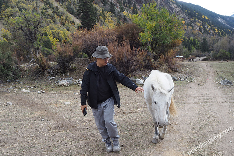 How to Plan A Nyingchi Trip 2025/2026