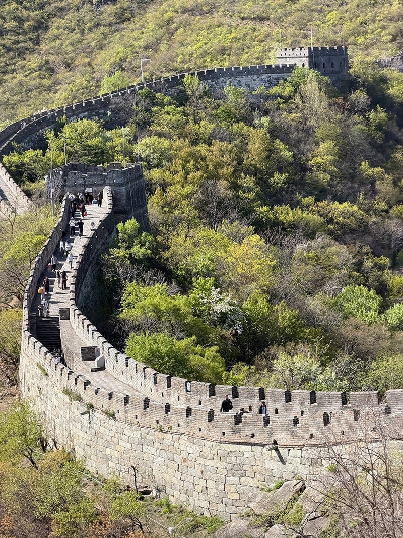 Tibet Discovery