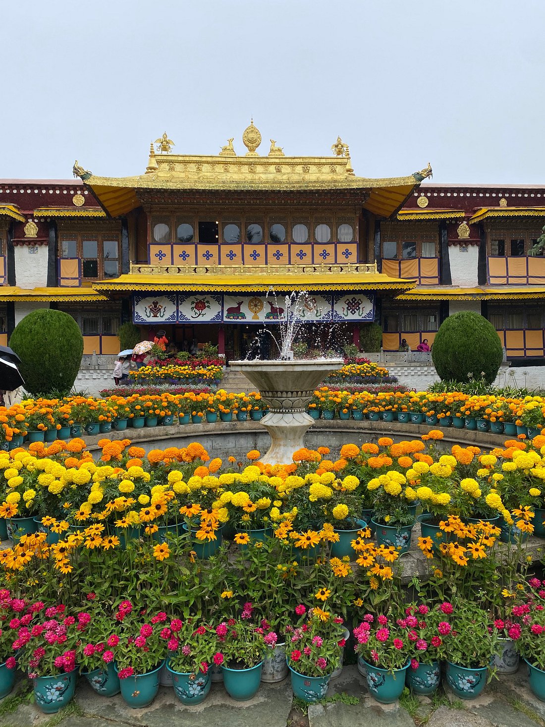 Tibet Discovery