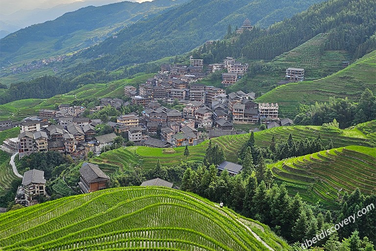 Longji Terrace
