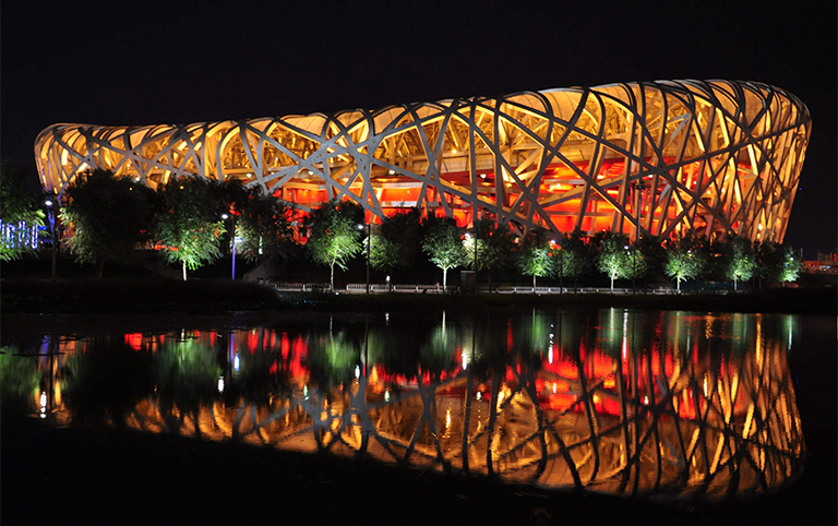 Lighting Bird's Nest