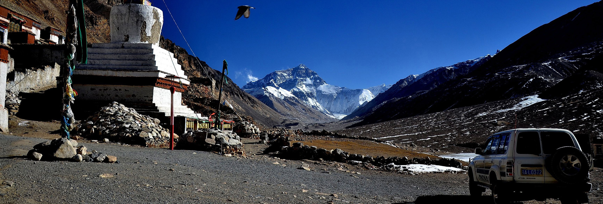 Everest Tours and Travel