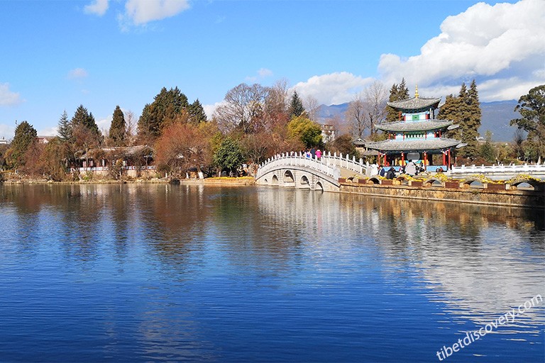 Gorgeous View and Peaceful Environment of Black Dragon Pool Park