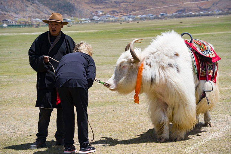 Locals and Yak at Pudacuo National Park