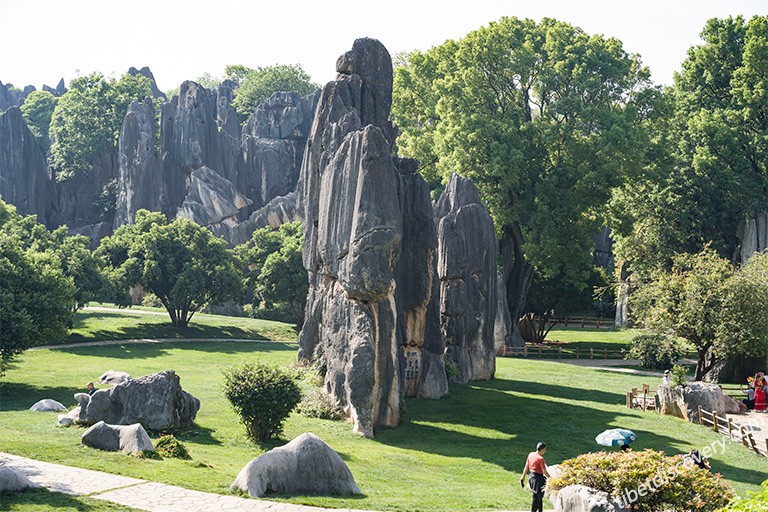 Walk Into the Stone Forests and Enjoy the Odd-shaped Stones