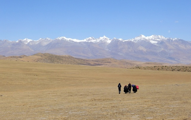 Tsurphu to Yangpachen Hiking