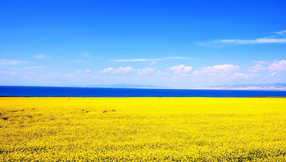 Qinghai Lake Getting Larger for 7 Years Qinghai Lake Getting Larger for 7 Years