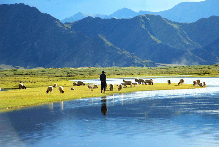 Qinghai Tibet Railway Landscape