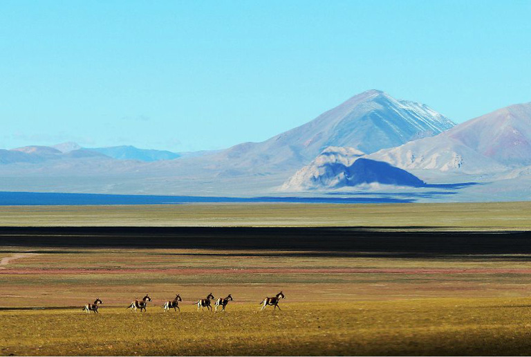 Qinghai Tibet Railway Landscape