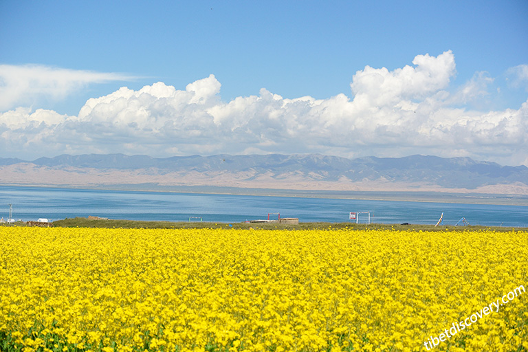 Beijing Lhasa Train