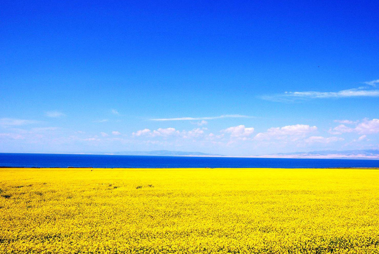 Qinghai Tibet Railway Landscape