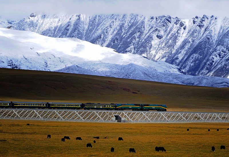 Xian Lhasa Trains