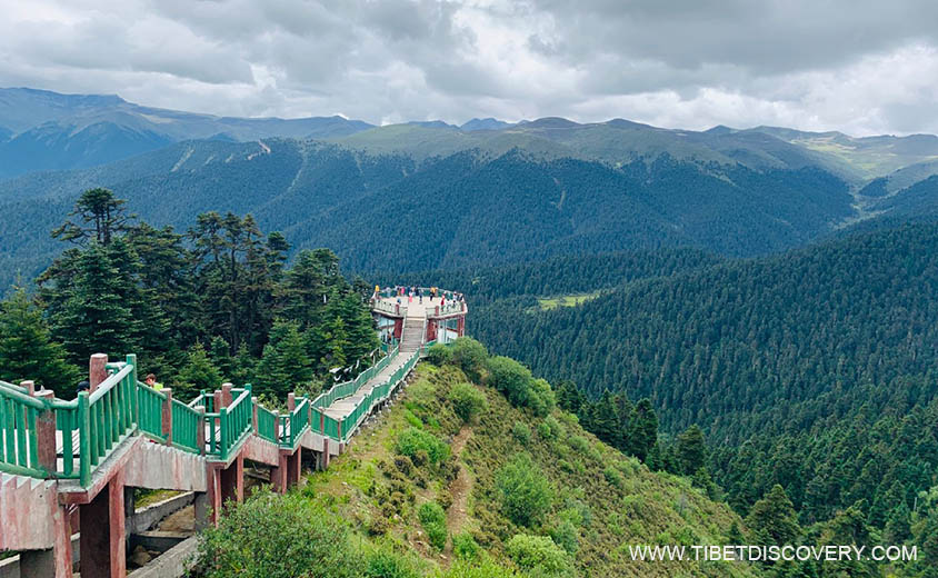 Walking Path in Lulang Forrest Tibet Trip Story