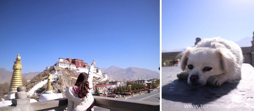 Tibet Trip Story