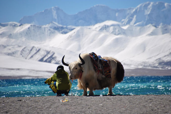 Beautiful View of Namtso Lake, Shot by Maengpo