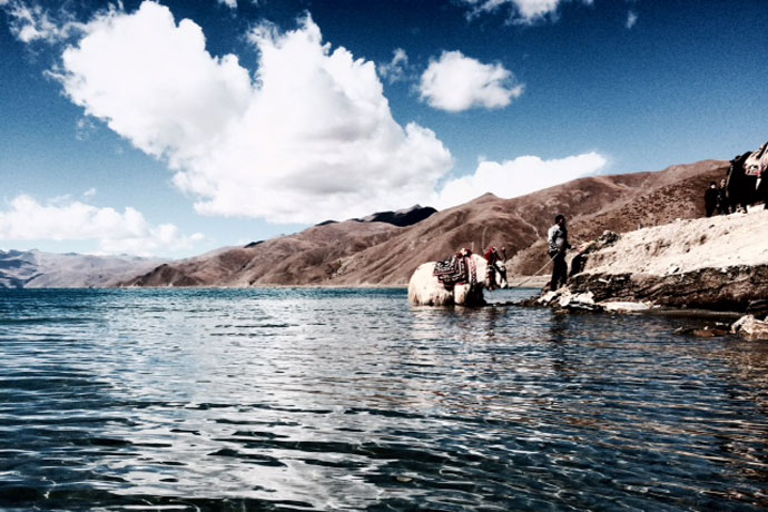 Local Tibetan and Yak, shot by Michelle