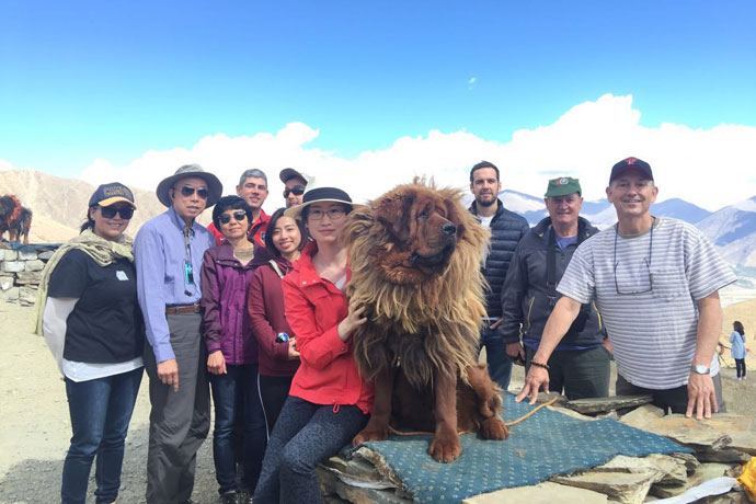 Picture with the Tibetan Mastiff